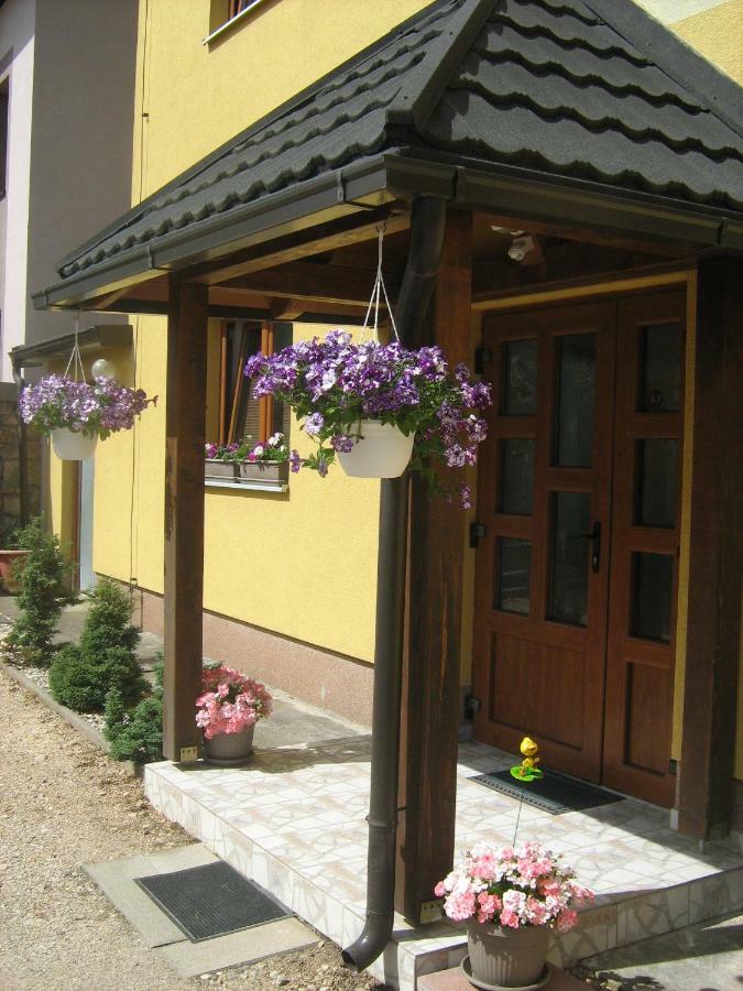 Guesthouse Mario Korenica Kültér fotó